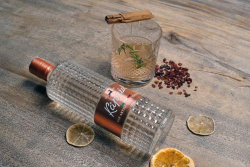 Így készíts házi gin tonic fűszert!